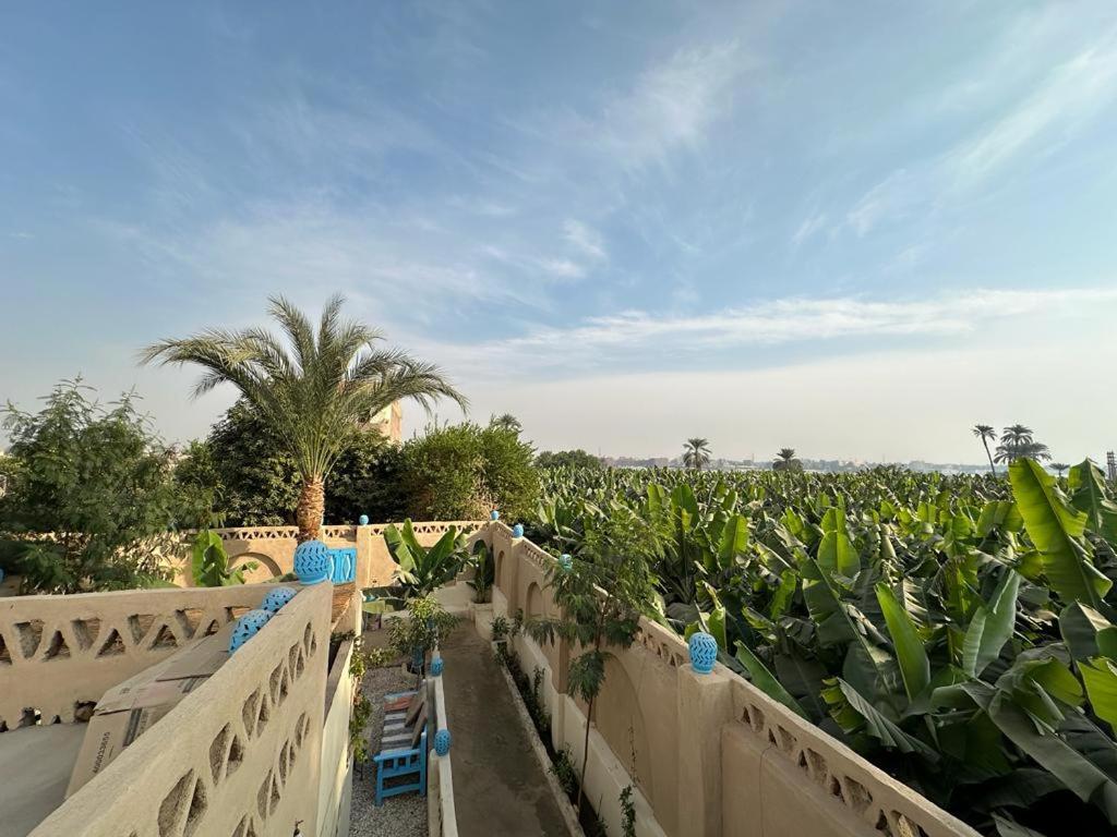 Villa Rebecca Professor'S Paradise الأقصر المظهر الخارجي الصورة